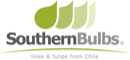 southern bulbs