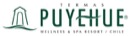 puyehue